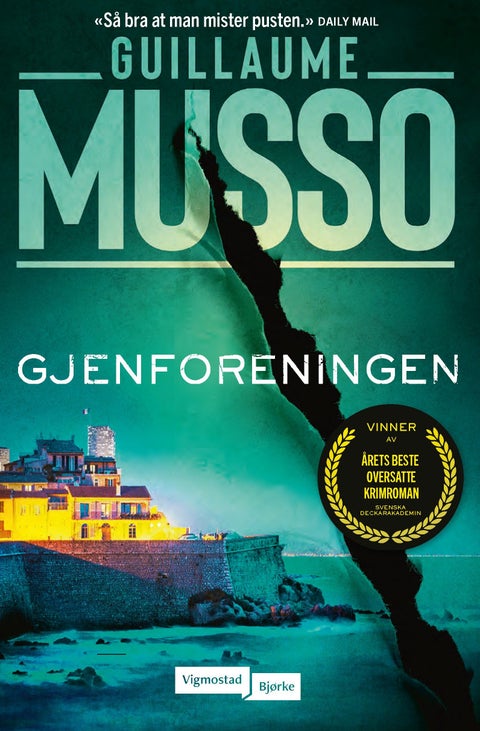 Gjenforeningen - roman