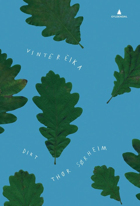 Vintereika - dikt