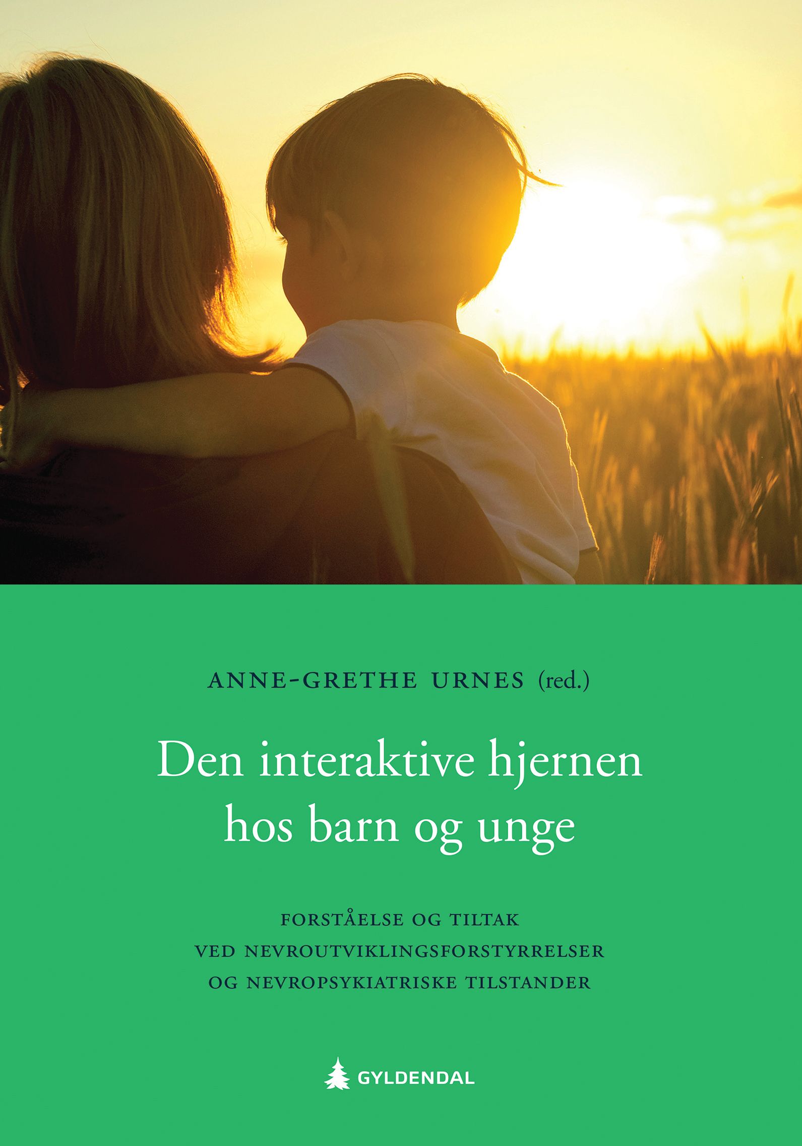 Den interaktive hjernen hos barn og unge - forståelse og tiltak ved nevroutviklingsforstyrrelser og nevropsykiatriske tilstander