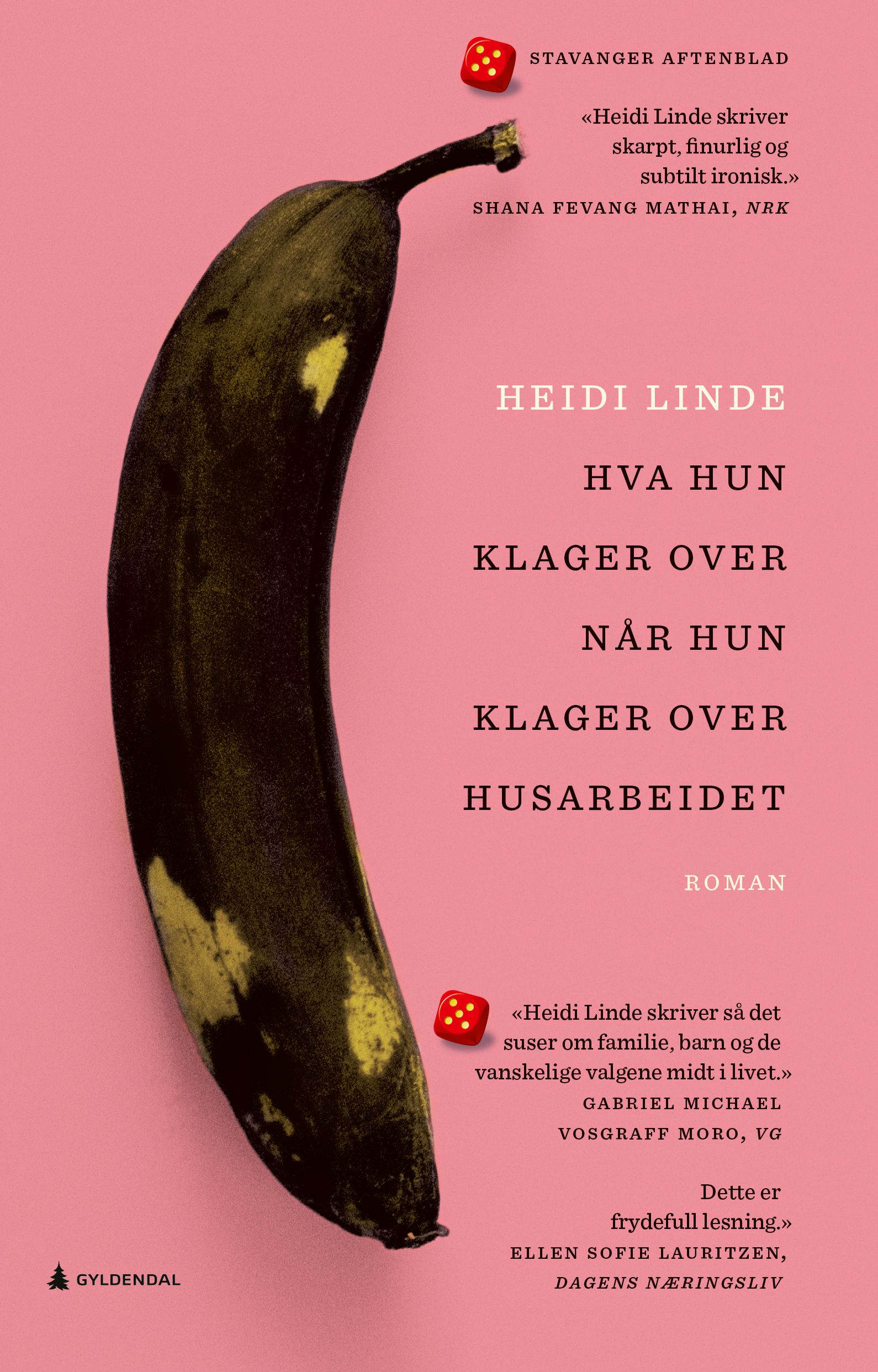 Hva hun klager over når hun klager over husarbeidet - roman