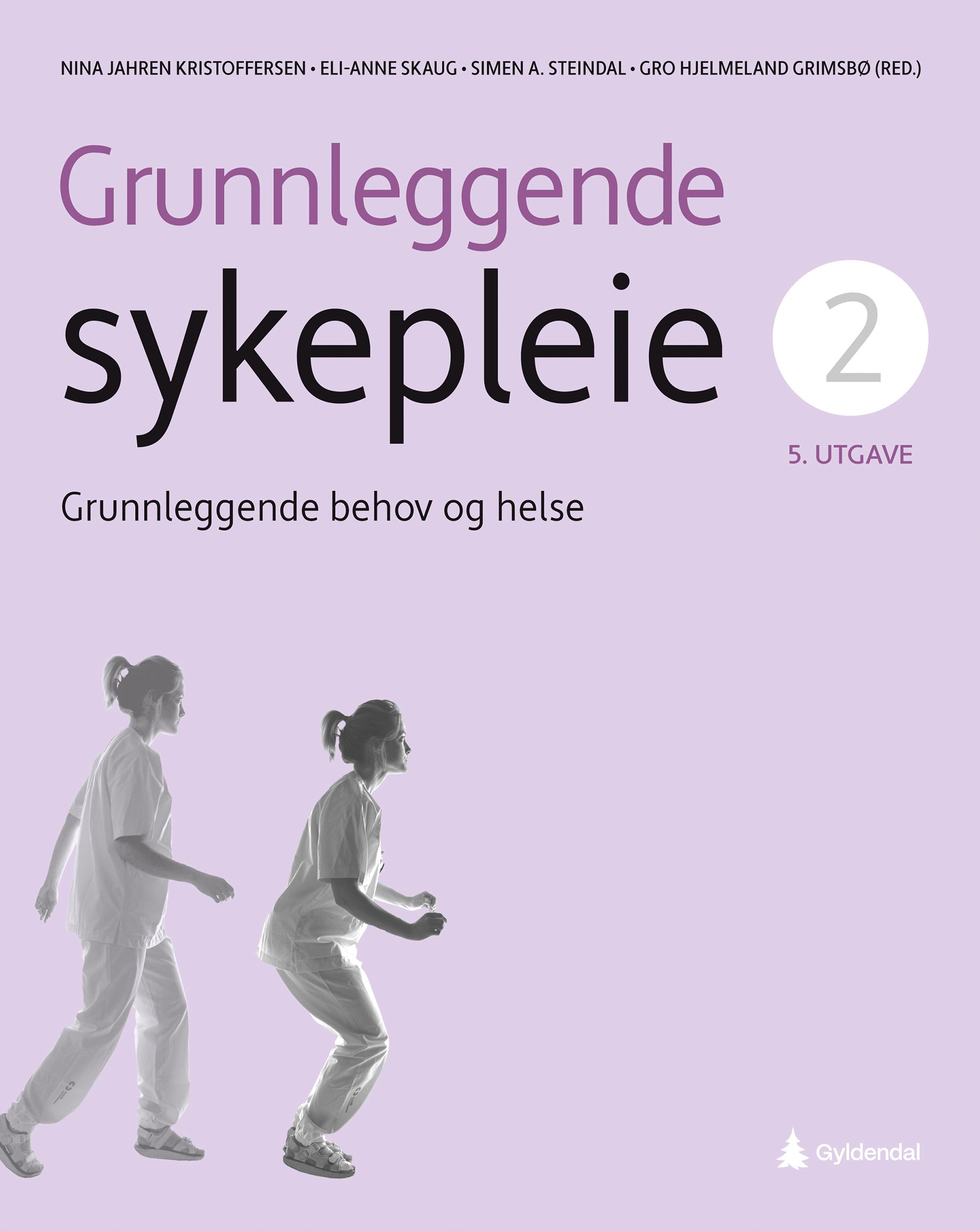 Grunnleggende sykepleie - 2 : Grunnleggende behov og helse
