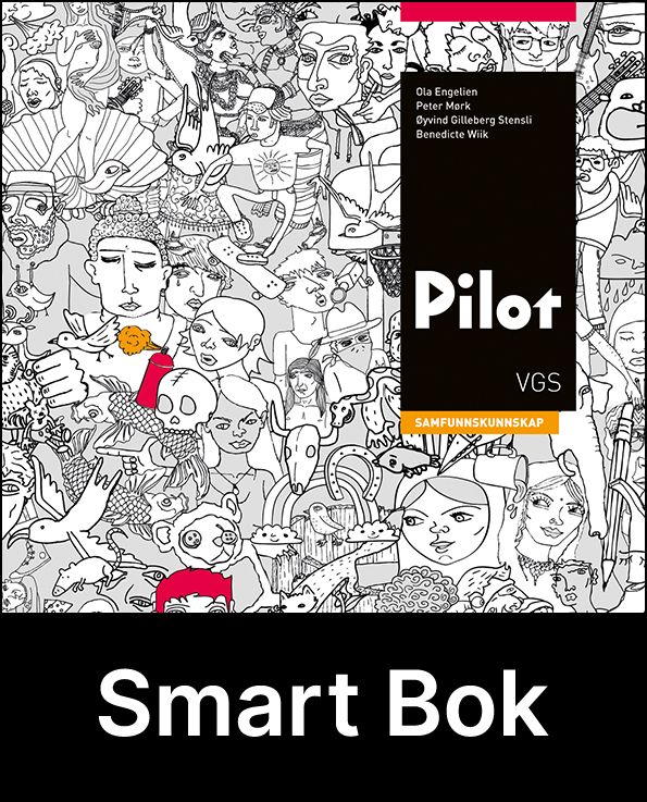 Pilot, samfunnskunnskap, Smart Bok