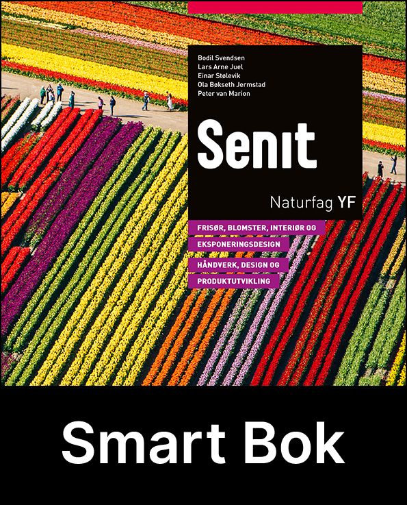 Senit YF,  frisør, blomster-, interiør- og eksponeringsdesgin. Handverk, design og produktutvikling, Smart Bok
