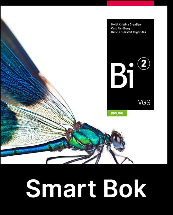 Bi 2, Smart Bok