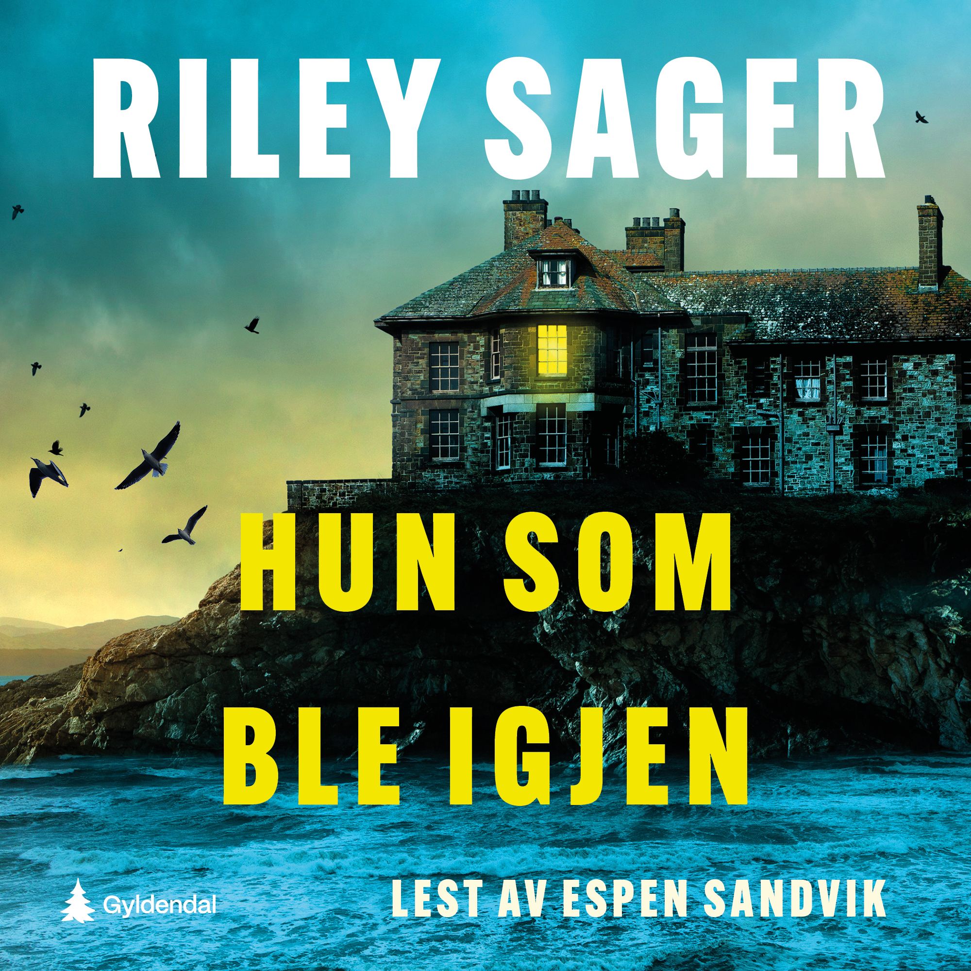 Hun som ble igjen