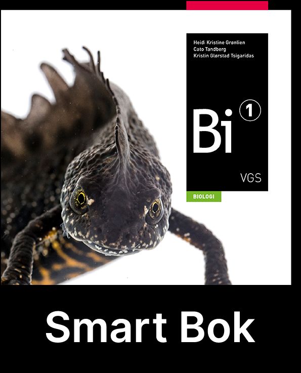 Bi 1, Smart Bok