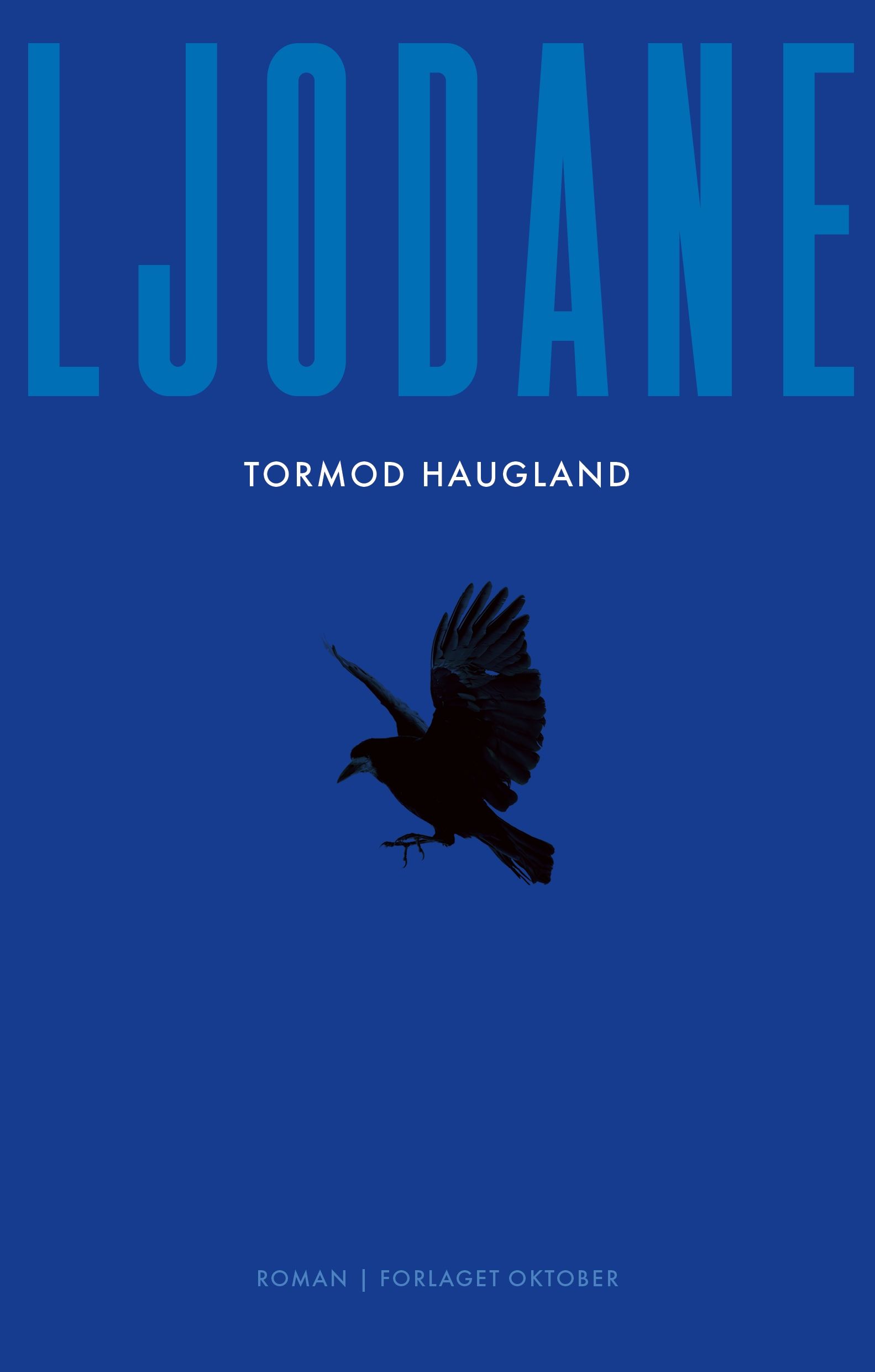 Ljodane - roman