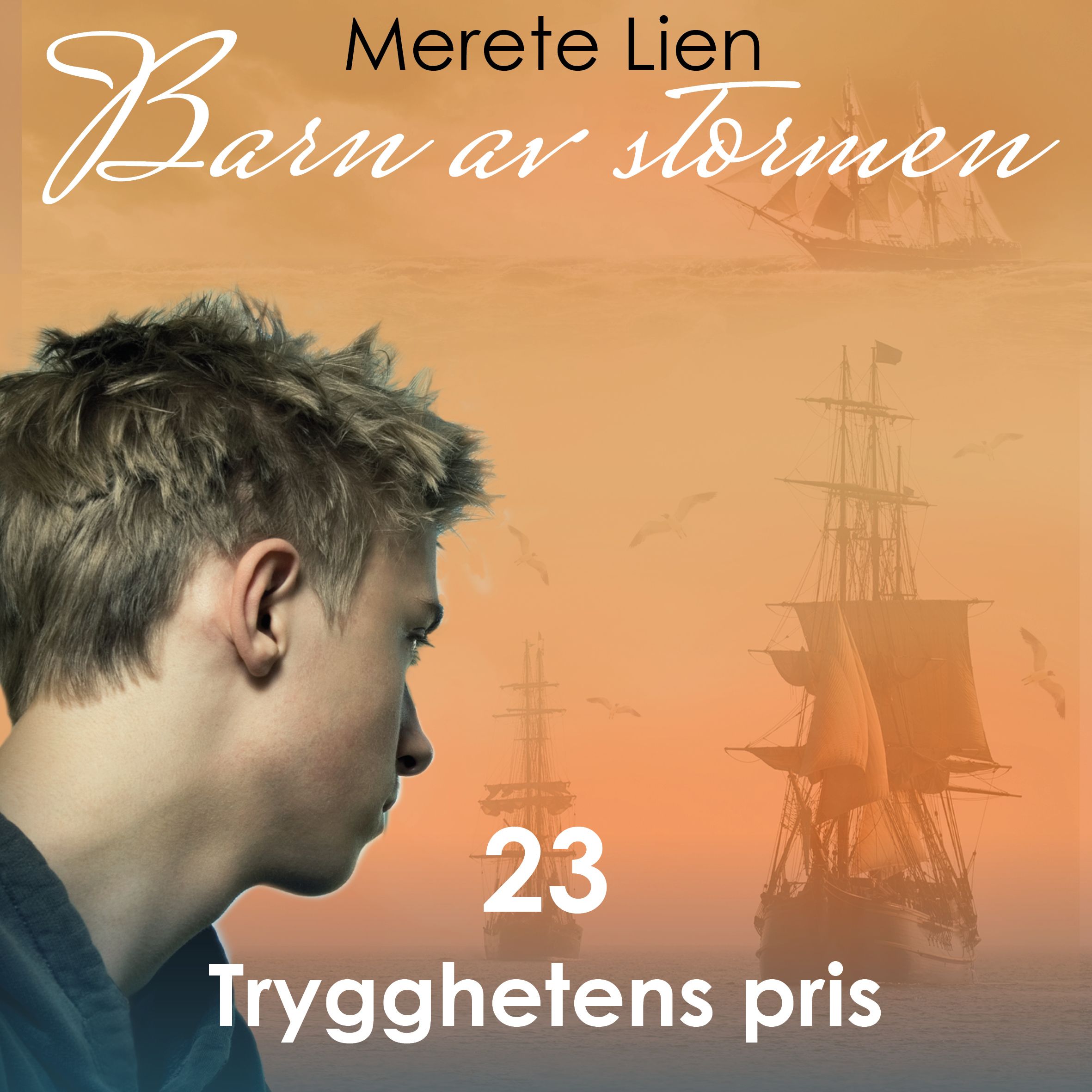 Trygghetens pris