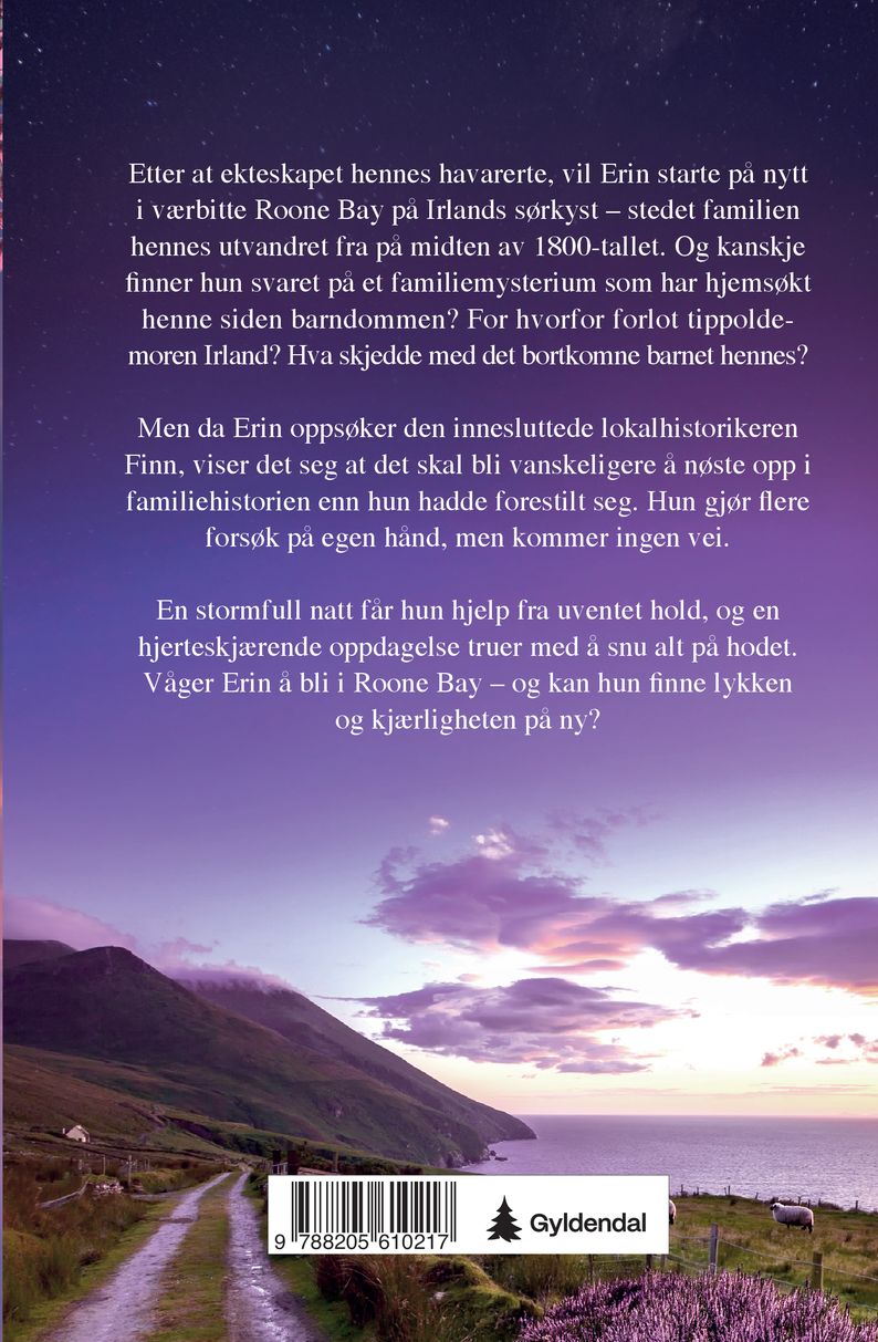 Det irske barnet