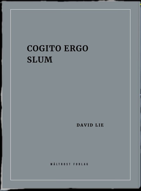 Cogito ergo slum - kortprosa