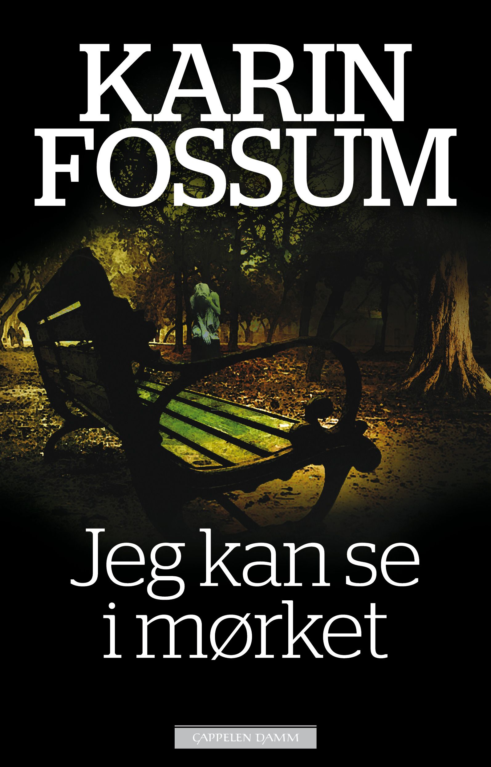 Jeg kan se i mørket - roman