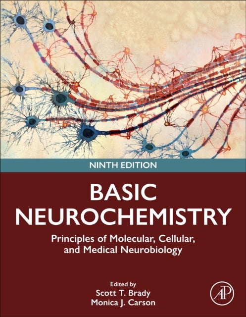 Basic Neurochemistry - Principles of Molecular, Cellular, and Medical Neurobiology