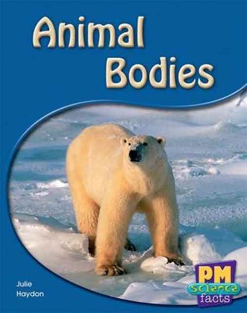 Animal Bodies