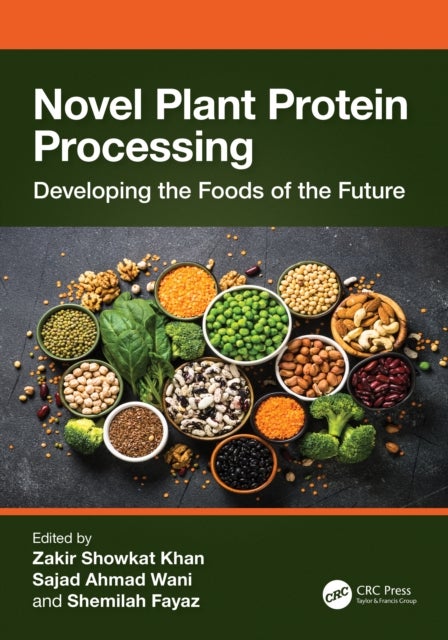Novel Plant Protein Processing - Developing the Foods of the Future