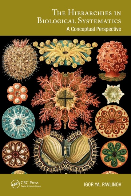 The Hierarchies in Biological Systematics - A Conceptual Perspective