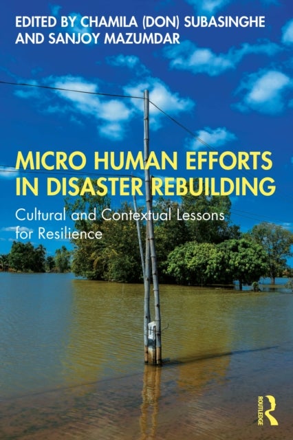 Micro Human Efforts in Disaster Rebuilding - Cultural and Contextual Lessons for Resilience
