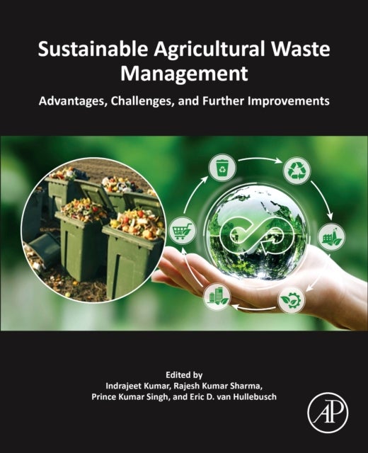 Sustainable Agricultural Waste Management - Advantages, Challenges, and Further Improvements