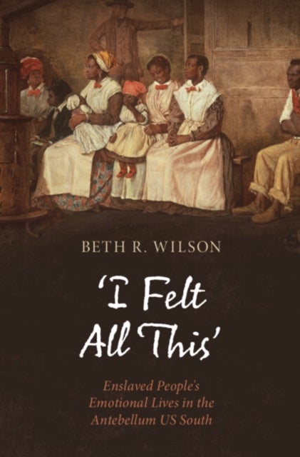 ‘I Felt All This’ - Enslaved People's Emotional Lives in the Antebellum US South