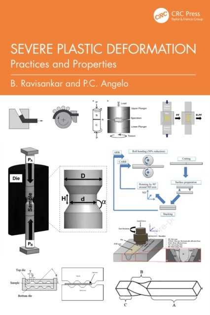 Severe Plastic Deformation - Practices and Properties