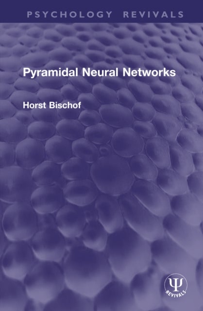 Pyramidal Neural Networks