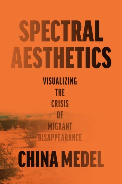 Spectral Aesthetics - Visualizing the Crisis of Migrant Disappearance