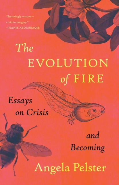 The Evolution of Fire - Essays on Crisis and Becoming