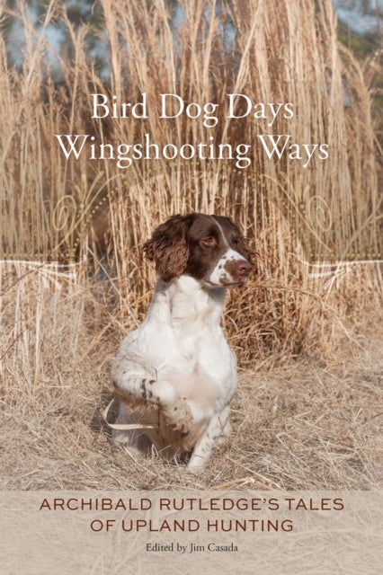 Bird Dog Days, Wingshooting Ways - Archibald Rutledge's Tales of Upland Hunting