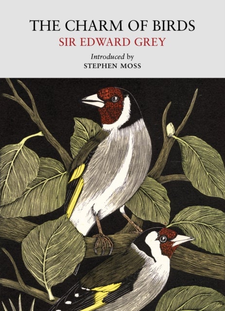 The Charm of Birds