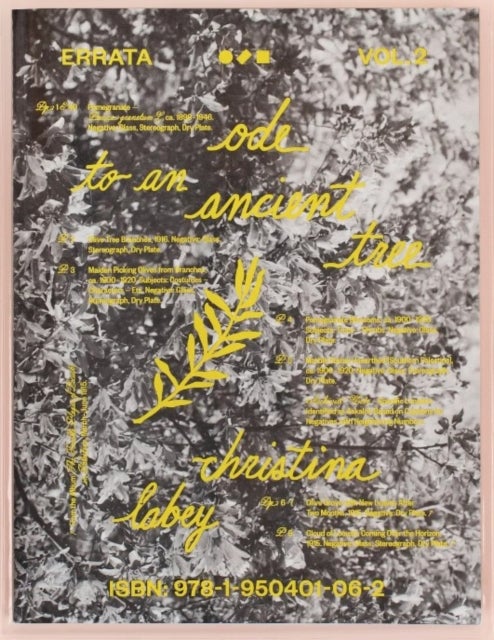 Errata Vol 2 - Ode to an Ancient Tree