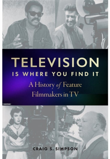Television Is Where You Find It - A History of Feature Filmmakers in TV