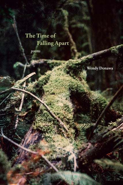 The Time of Falling Apart - Poems