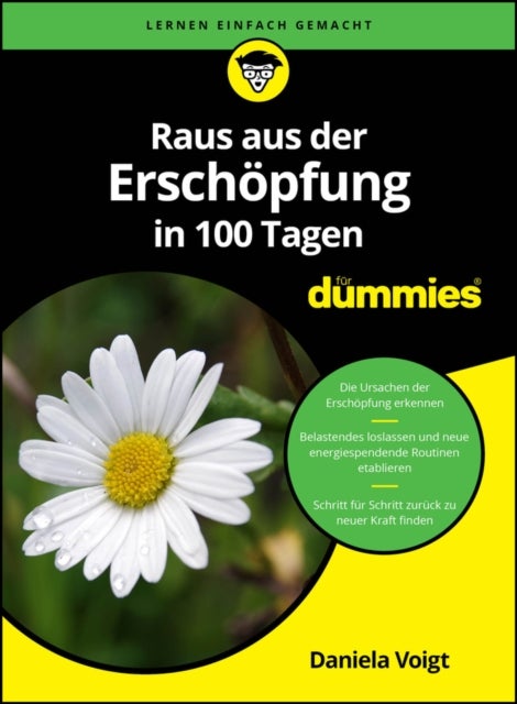 Raus aus der Erschopfung in 100 Tagen fur Dummies