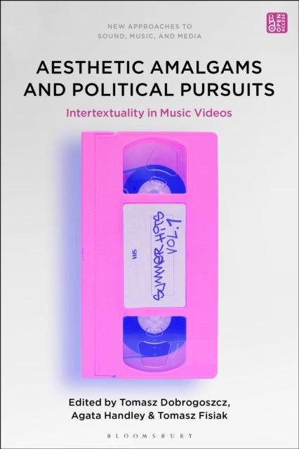 Aesthetic Amalgams and Political Pursuits - Intertextuality in Music Videos