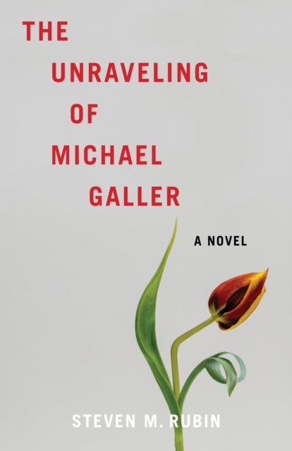 The Unraveling of Michael Galler - A Novel