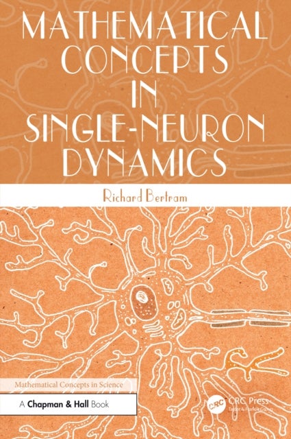 Mathematical Concepts in Single-Neuron Dynamics