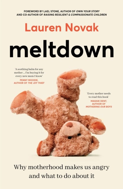 Meltdown - An insightful, sympathetic and reassuring look at the dangerous but hot topic of mum rage for readers of Brene Brown and Jamila Rizvi