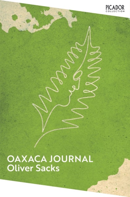Oaxaca Journal