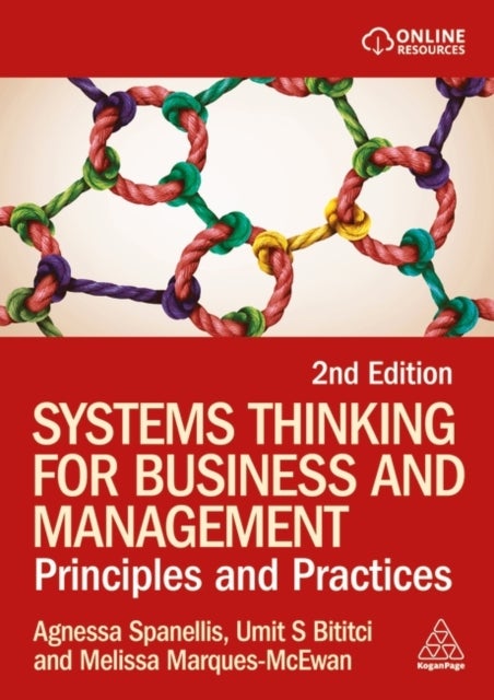 Systems Thinking for Business and Management - Principles and Practice