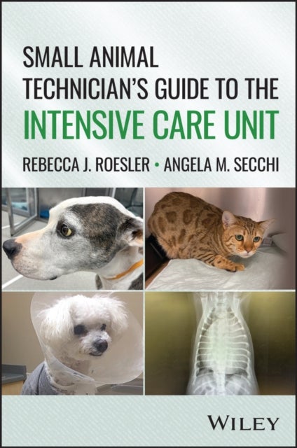 A Veterinary Technician's Guide to the Intensive Care Unit