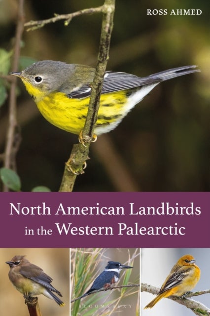 North American Landbirds in the Western Palearctic