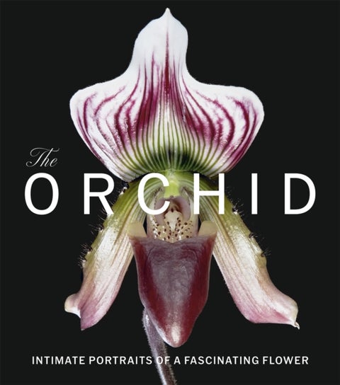 The Orchid - Intimate Portraits of a Fascinating Flower