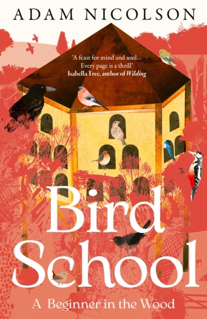 Bird School - A Beginner in the Wood
