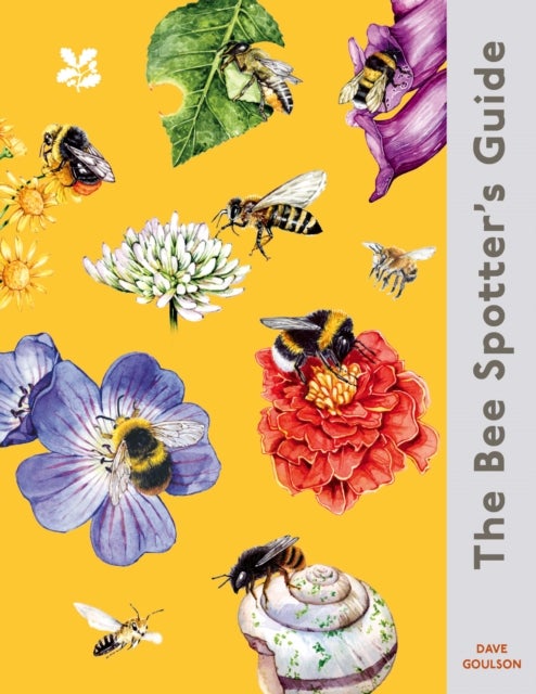 NT BEE SPOTTERS GUIDE HB