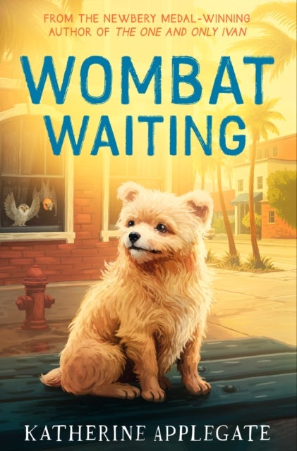 WOMBAT WAITING PB