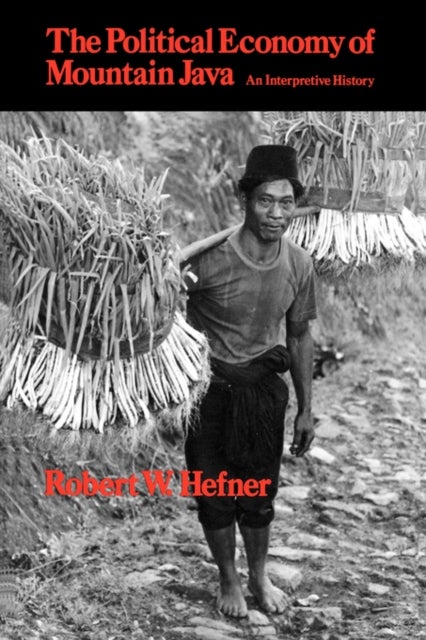 The Political Economy of Mountain Java - An Interpretive History
