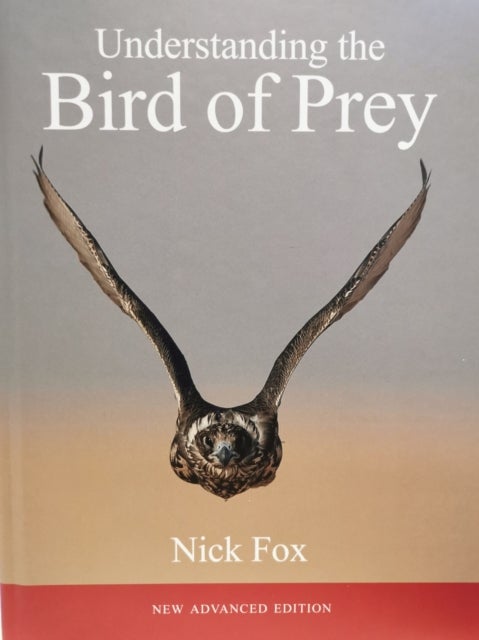 Understanding the Bird of Prey