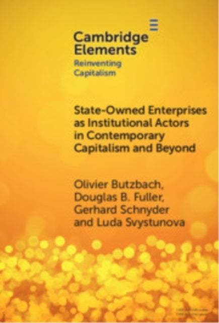 State-owned Enterprises As Institutional Actors in Contemporary Capitalism and Beyond