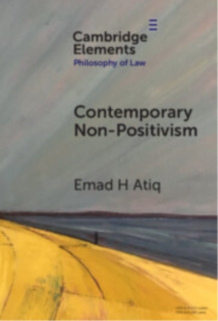 Contemporary Non-positivism