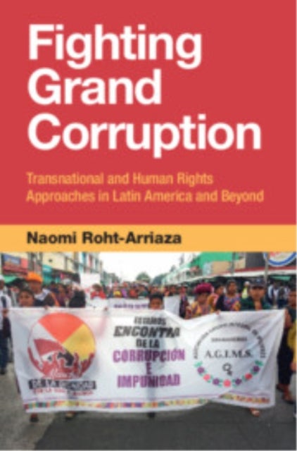 Fighting Grand Corruption - Transnational and Human Rights Approaches in Latin America and Beyond