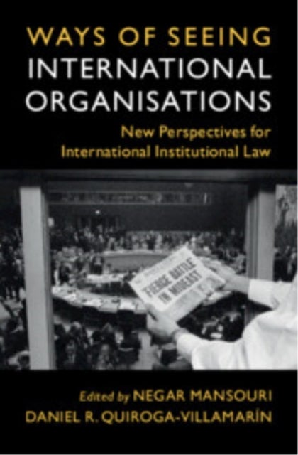 Ways of Seeing International Organisations - New Perspectives for International Institutional Law